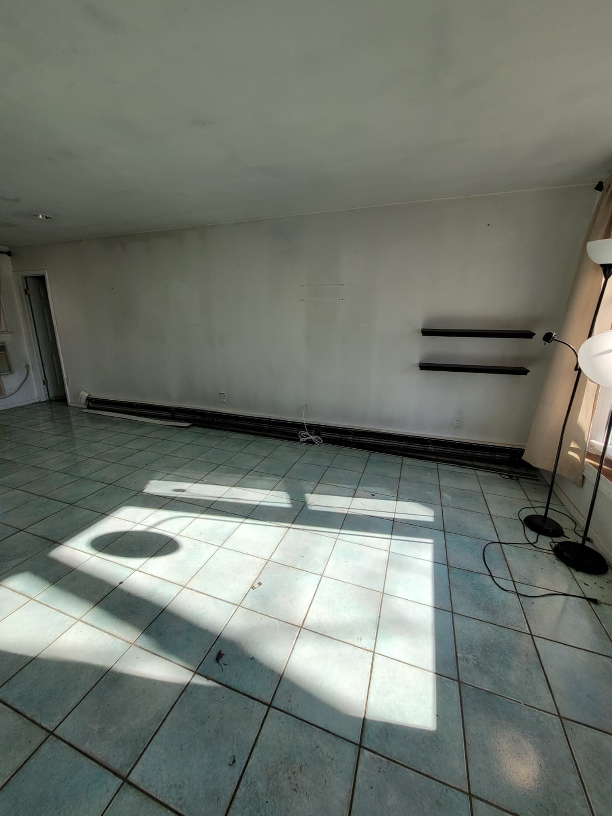 PHOTO-2026-02-01-21-13-43(1)