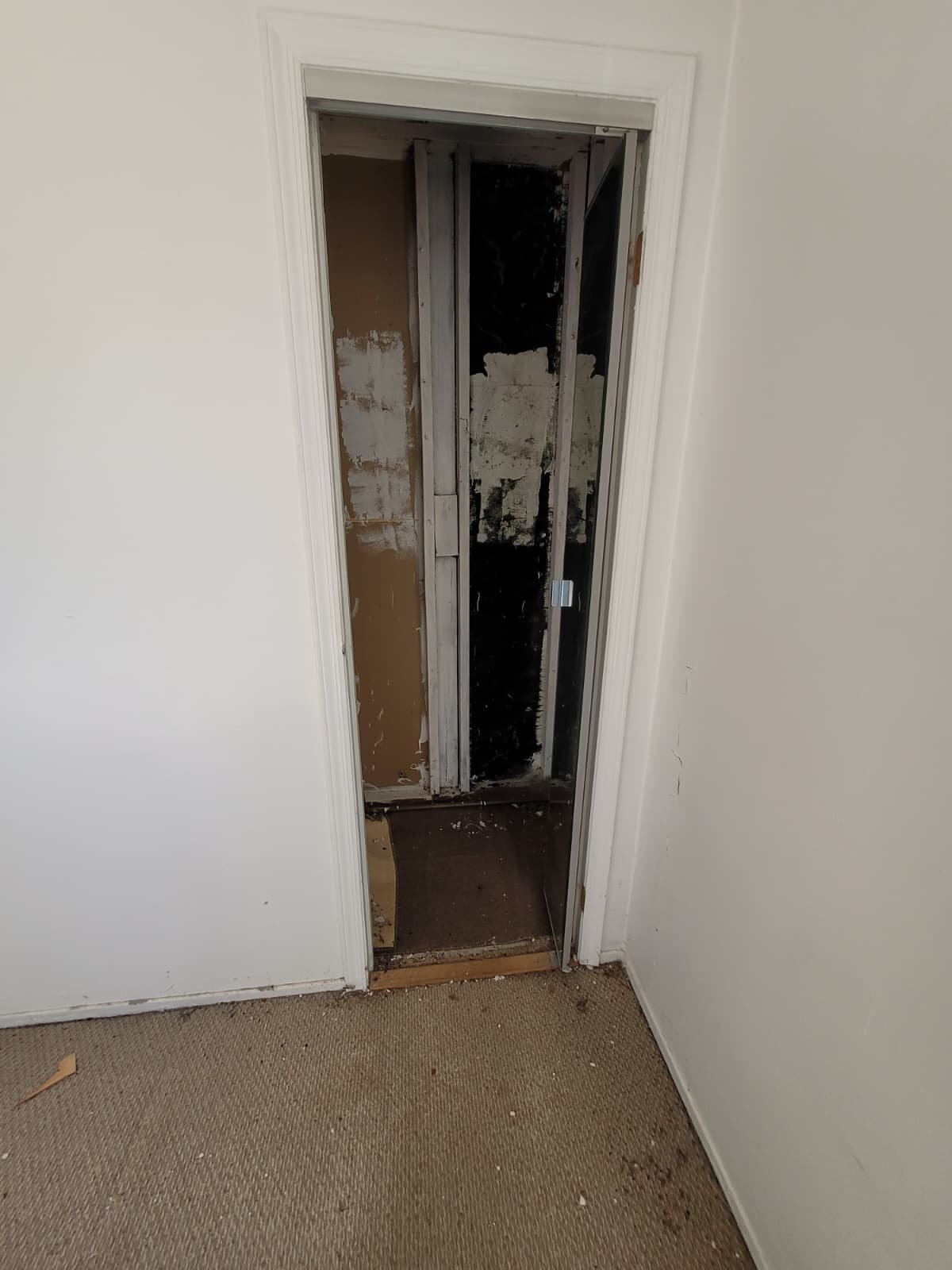 PHOTO-2026-02-01-21-13-57(3)