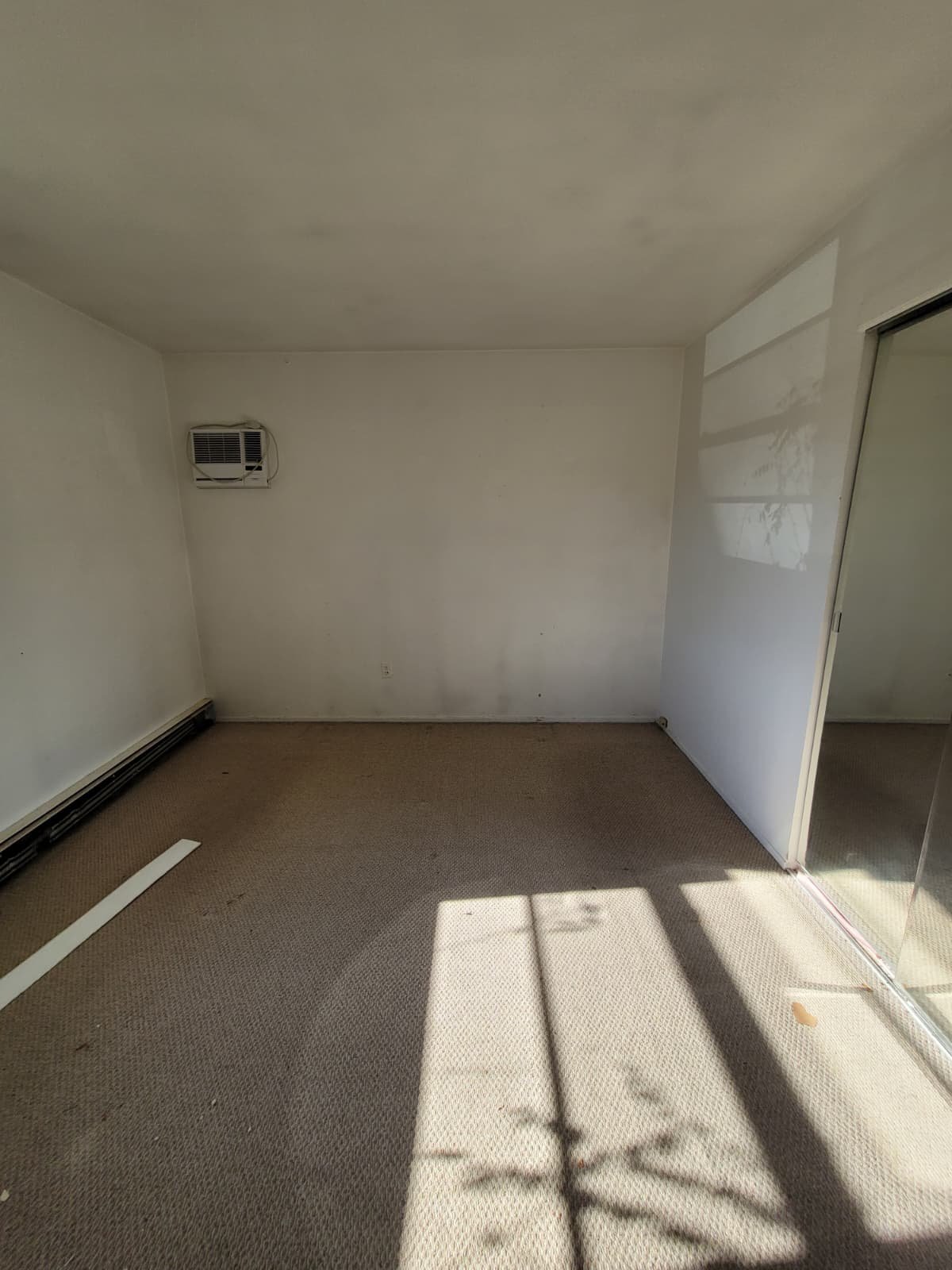 PHOTO-2026-02-01-21-13-57(6)